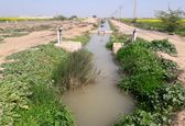 اجرای برنامه نوبت‌بندی آب در شبکه آبیاری پنج هزارهکتاری و نهر لشکرآباد در حوزه مرکزی