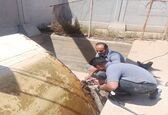 تعمیر اساسی چک ها و دریچه های آبیاری شرکت کارون بزرگ
