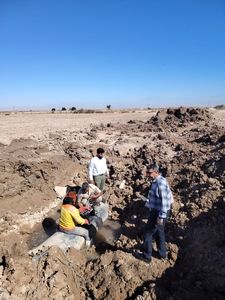 پایش میدانی تعمیرات خطوط لوله در نواحی عمرانی شلمچه
