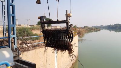 اجرای عملیات مکانیزه جمع‌آوری نی‌های سردهانه کانال AMC در سد انحرافی حمیدیه