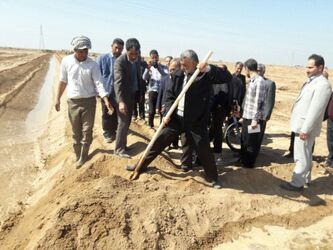 طرح درختکاری بارویکرد بیابان زادیی ، با همکاری شرکت آب جنوب شرق در خوزستان آغاز شد