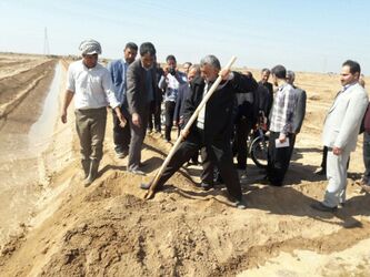 طرح درختکاری بارویکرد بیابان زادیی ، با همکاری شرکت آب جنوب شرق در خوزستان آغاز شد