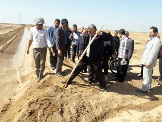 طرح درختکاری بارویکرد بیابان زادیی ، با همکاری شرکت آب جنوب شرق در خوزستان آغاز شد