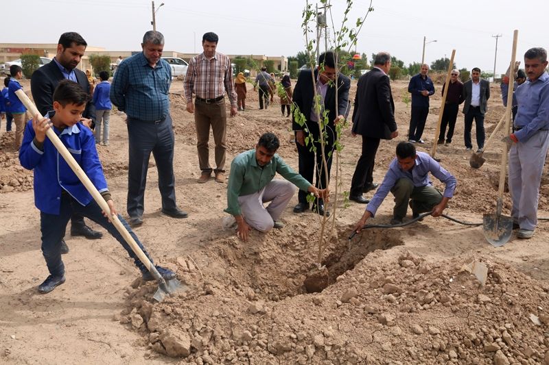 یکصد اصله نهال در شهرک کوت امیر کاشته شد