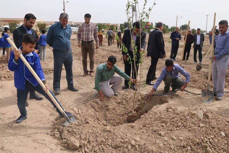 یکصد اصله نهال در شهرک کوت امیر کاشته شد