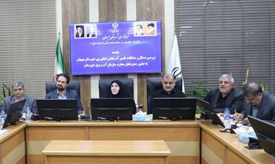 مشکلات کشاورزان اهواز،باوی،کارون و حمیدیه مورد بررسی قرار گرفت