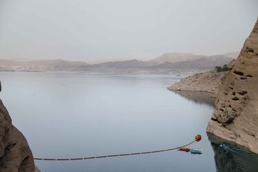 _MG_4799
