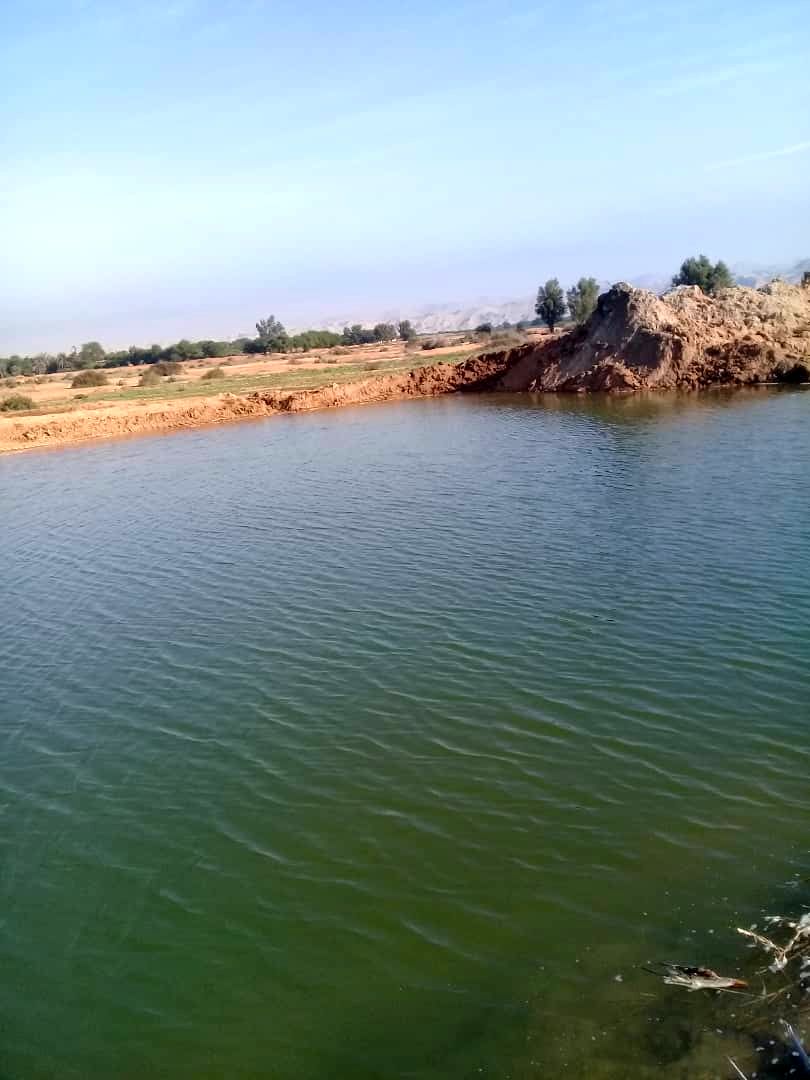 زهکش 27 شبکه شهید رجایی بصورت کامل رفع انسداد شد