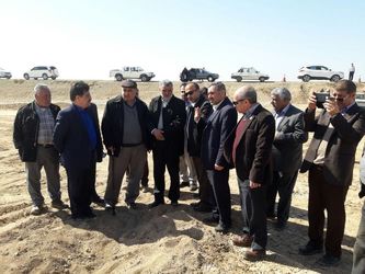 طرح درختکاری بارویکرد بیابان زادیی ، با همکاری شرکت آب جنوب شرق در خوزستان آغاز شد