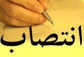 معاون مدیریت ذیحسابی اعتبارات طرح های عمرانی سازمان منصوب شد