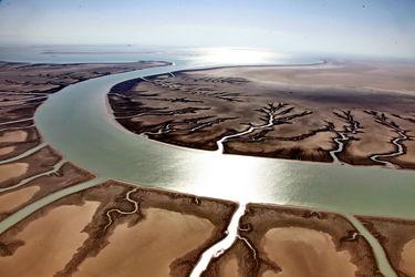 n00002197-r-b-004