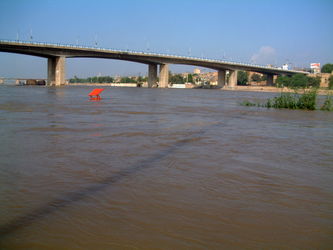 n00000545-r-b-002