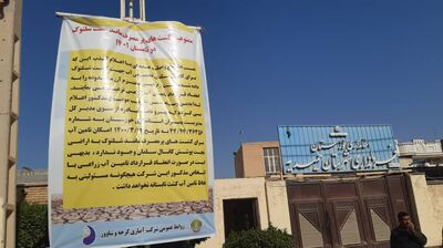 کشت‌های پر مصرف نظیر شلتوک در تابستان ۱۴۰۱ ممنوع است 