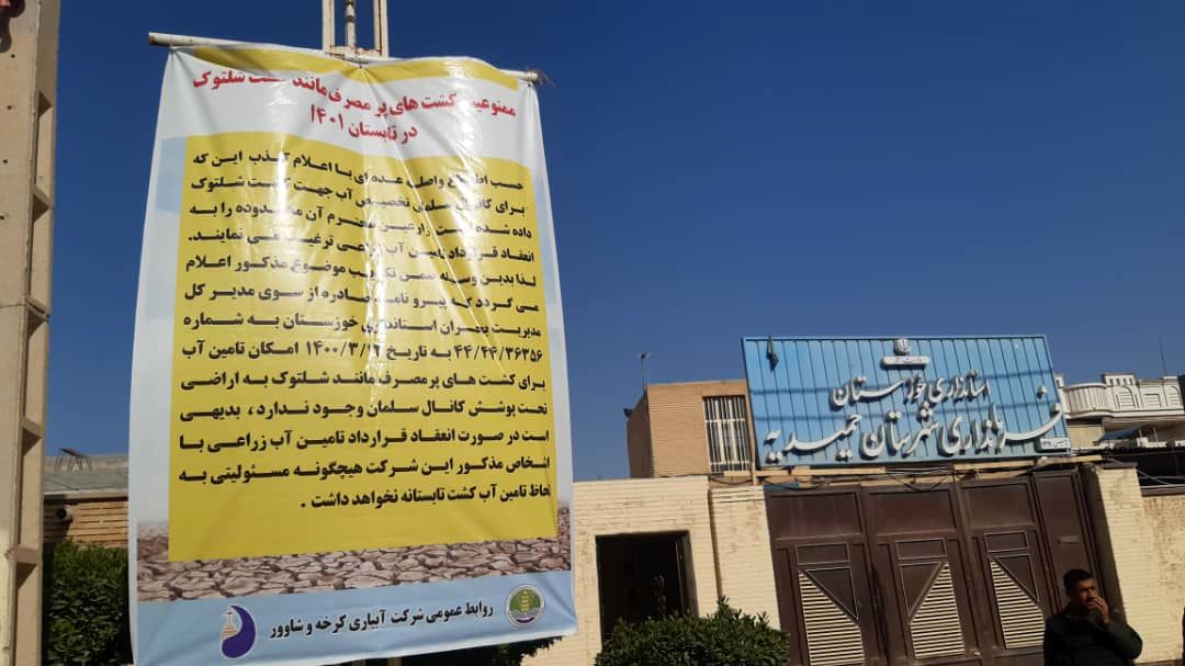 کشت‌های پر مصرف نظیر شلتوک در تابستان ۱۴۰۱ ممنوع است 