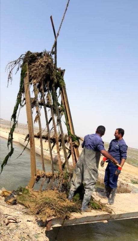 جلبک زدایی از سیفونهای مرغزار آغاز شد