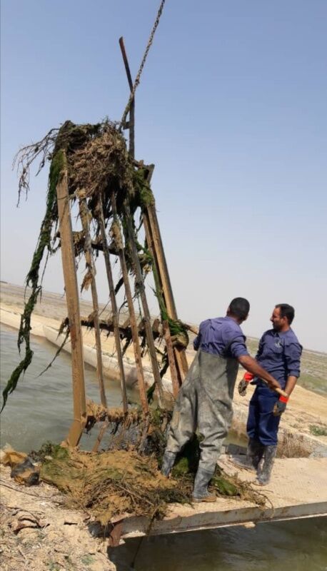 جلبک زدایی از سیفونهای مرغزار آغاز شد
