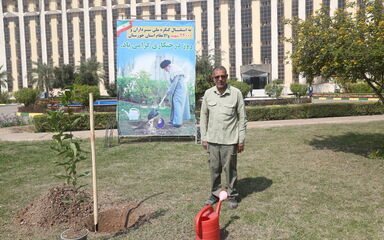 درخت کاری