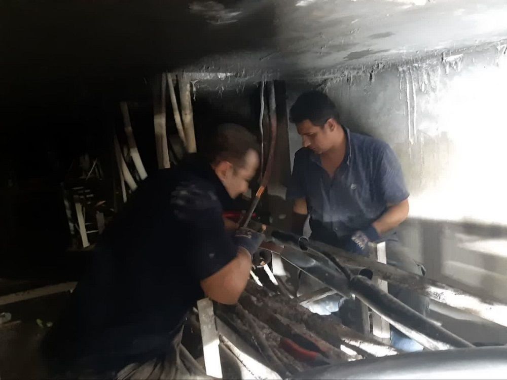 اورهال و رفع اشکال ازالکتروموتورهای هایلیفت تاسیسات مرغزار