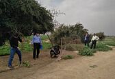 جمع آوری  حصار و ممانعت از  اسکان در حریم کانال ها و زهکش های تحت پوشش شرکت بهره برداری از شبکه های آبیاری کارون بزرگ