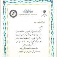 کارمند سازمان آب و برق خوزستان، پژوهشگر برتر صنایع استان شد