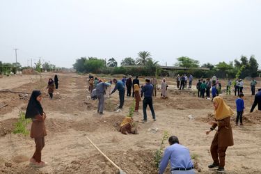 آیین درخت کاری در شرکت آب جنوب شرق