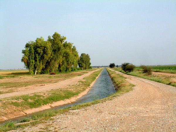 افزایش سطح زیر کشت محصولات زمستانه در شبکه های آبیاری شمال خوزستان