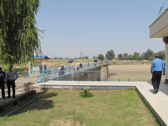 n00000987-r-b-005