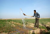 عقد قرارداد آب زمستانه در شبکه های آبیاری شمال خوزستان آغاز شد
