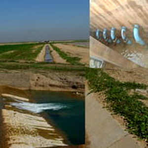 شبکه آبیاری لور در شمال خوزستان با مشارکت مردمی اداره می شود