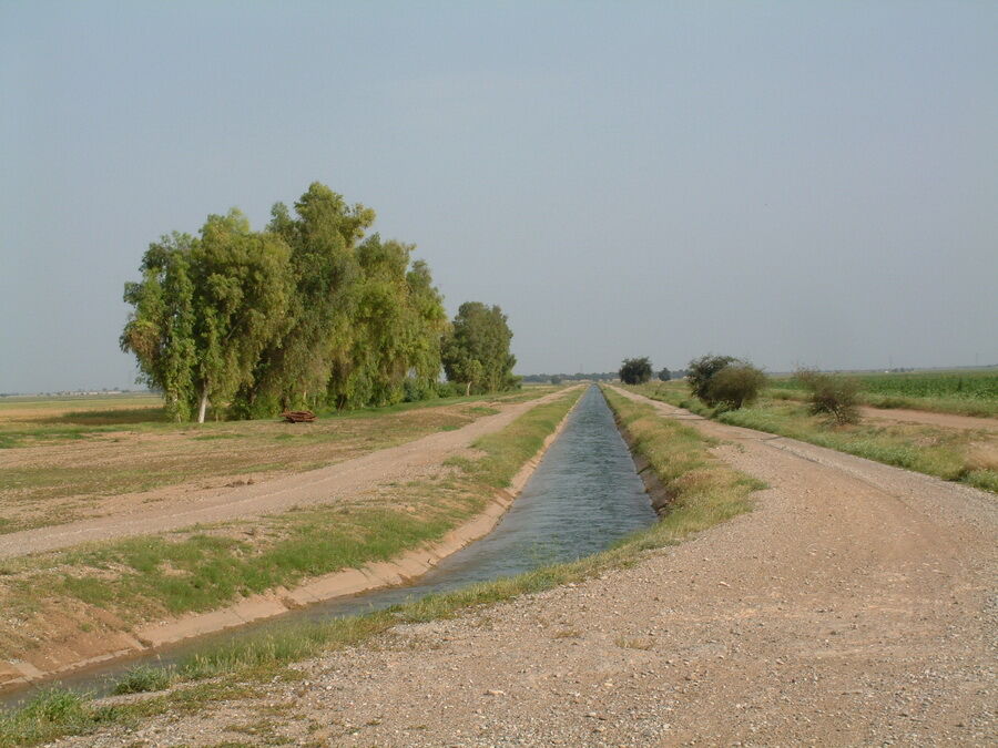 افزایش سطح زیر کشت محصولات زمستانه در شبکه های آبیاری شمال خوزستان  