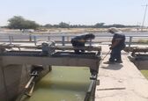 عملیات جوشکاری و تنظیم چک ها و دریچه های شبکه های آبیاری شرکت بهره برداری کارون بزرگ به پایان رسید