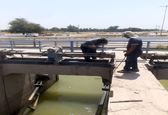 عملیات جوشکاری و تنظیم چک ها و دریچه های شبکه های آبیاری شرکت بهره برداری کارون بزرگ به پایان رسید