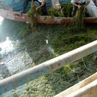 جمع آوری ۵۰ تن خزه از آشغالگیرهای ایستگاه پمپاژ مارد