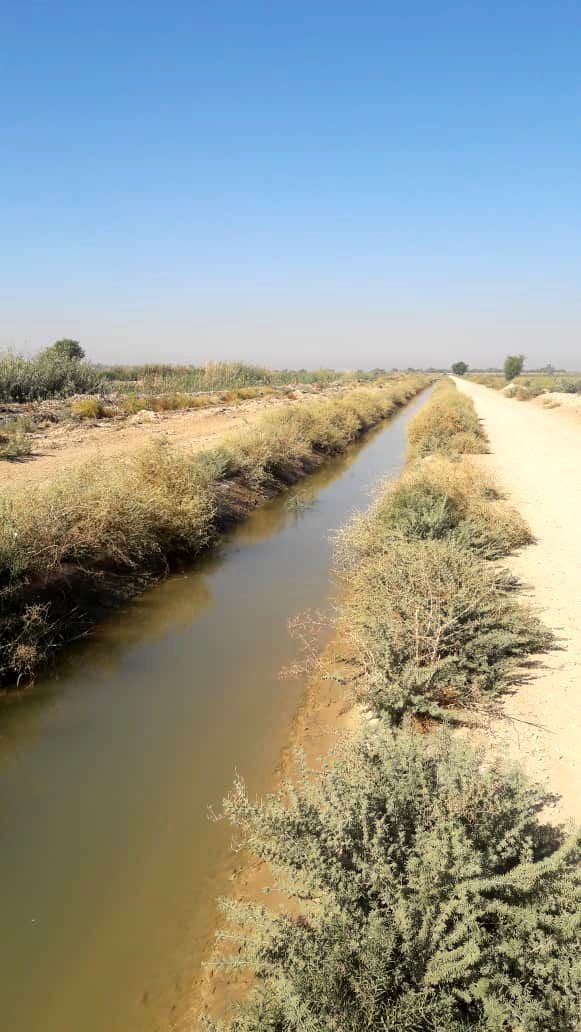 عملیات تسطیح، رگلاژ و علف چینی کانال های آبیاری شبکه شمال شرق اهواز آغاز شد