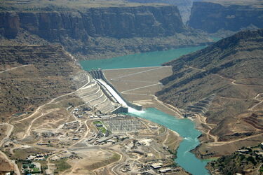 n00000331-r-b-005