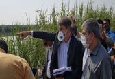گزارش تصویری از بازدید رئیس کمیسیون انرژی مجلس شورای اسلامی و جمعی از نمایندگان استان خوزستان از سد سلولی چوئیده آبادان