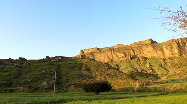 n00001707-r-b-007