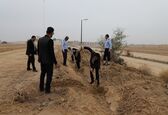 کاشت حدود هزار اصله نهال در محوطه سد انحرافی آسک