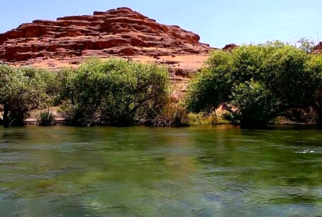 بررسی تامین آب شرب دهستان ماهور برنجی دزفول 