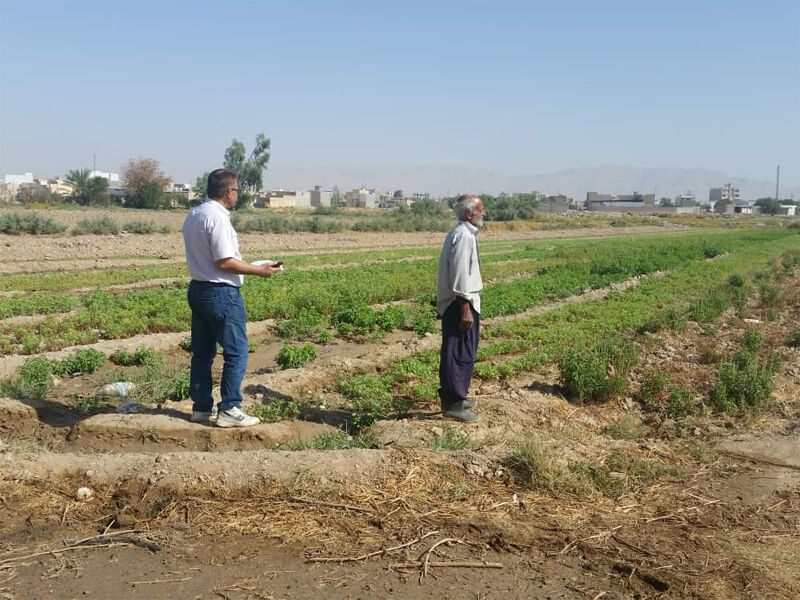 آغاز عملیات مساحی کشت تابستانه و سالیانه در شرکت آبیاری مارون 