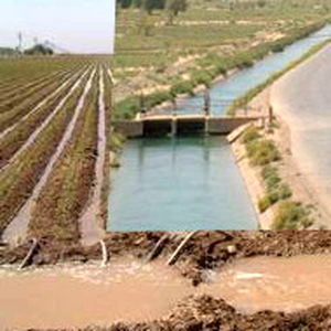 عقد قرارداد آب کشاورزی محصولات تابستانه شبکه آبیاری دز آغاز شد