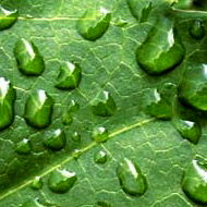 افزایش بارندگی ثبت شده در ایستگاه هواشناسی سد تنظیمی دز