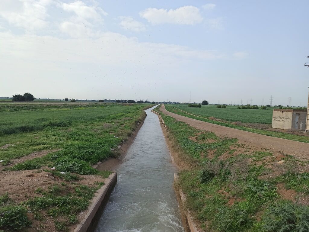 انعقاد قرارداد آب بیش از ۴۷ هزار هکتار انواع محصولات زمستانه و بهاره در شمال خوزستان