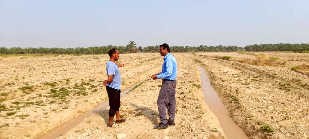 مساحی تابستان شبکه شادگان آغاز شد
