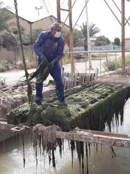 تشریح عملکرد 6 ماهه بهره برداری شرکت آب جنوب شرق خوزستان