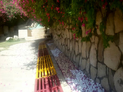  جایگزینی قلوه سنگ های صنعتی و رودخانه ای جهت پوشش گیاهی در فضای سبز پلاژ مارون