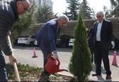 درختکاری نماد کارهایی است که ثمره آن در آینده مشخص می‌شود