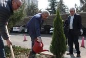 درختکاری نماد کارهایی است که ثمره آن در آینده مشخص می‌شود