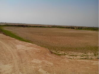 n00002461-r-b-001