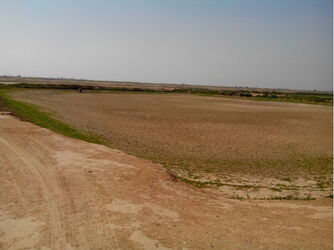 n00002461-r-b-001